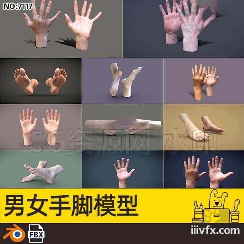 blender模型A7117_男女手脚模型-870G模型-B站/公众号:特效向