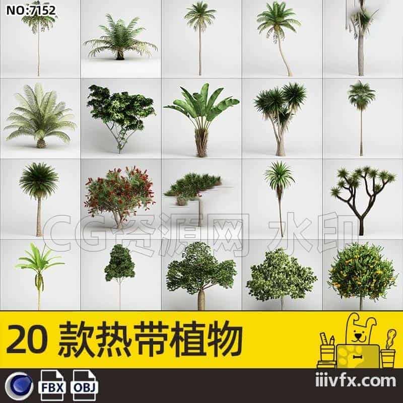 blender模型A7152_20款热带植物-870G模型-B站/公众号:特效向