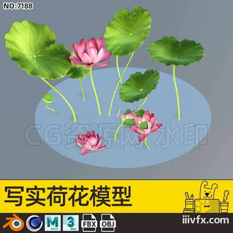 blender模型A7188_写实荷花模型-870G模型-B站/公众号:特效向