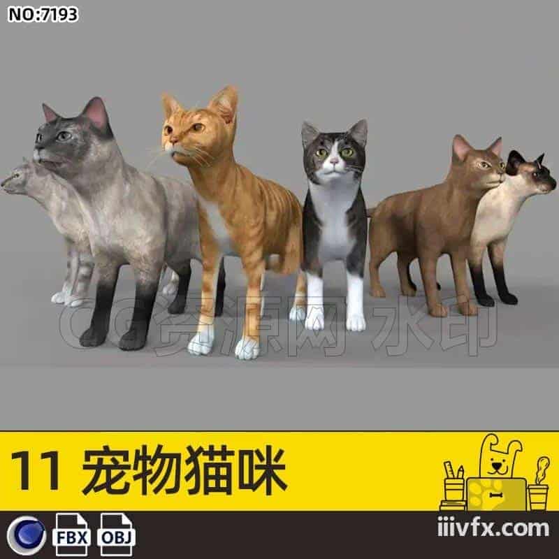 blender模型A7193_11宠物猫咪-870G模型-B站/公众号:特效向
