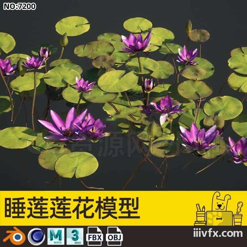 blender模型A7200_睡莲莲花模型-870G模型-B站/公众号:特效向