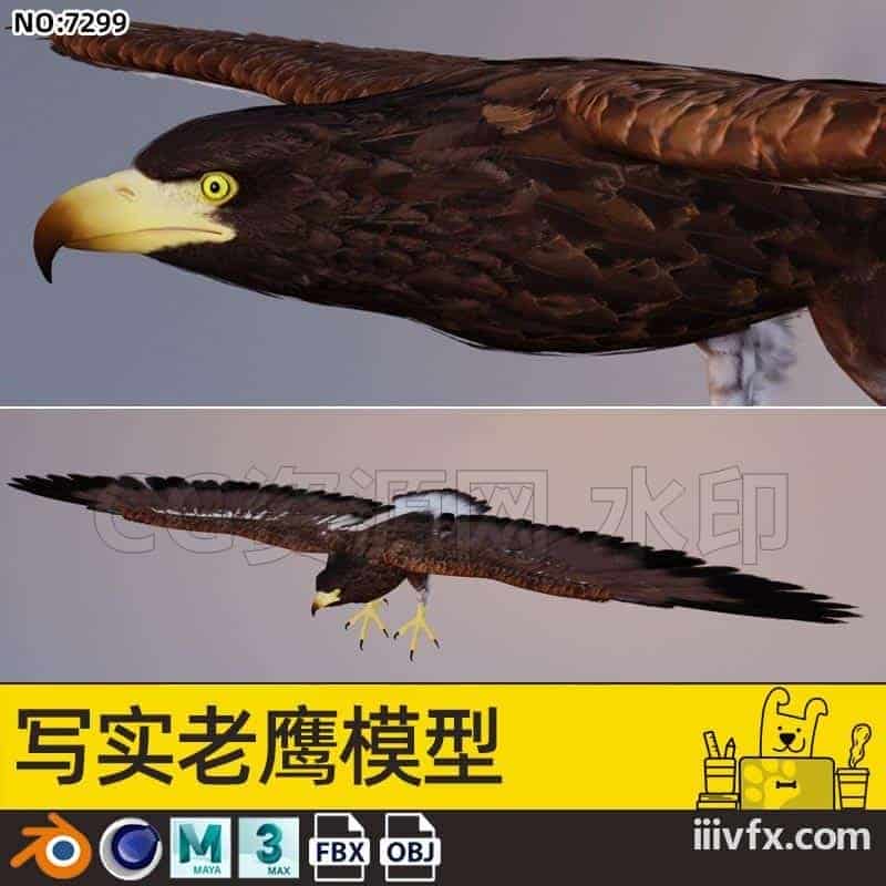 blender模型A7299_写实老鹰模型-870G模型-B站/公众号:特效向