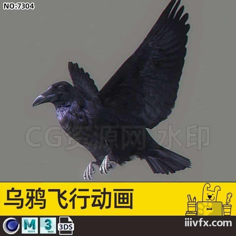 blender模型A7304_乌鸦飞行动画-870G模型-B站/公众号:特效向