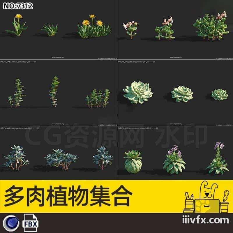 blender模型A7312_24套多肉植物-870G模型-B站/公众号:特效向