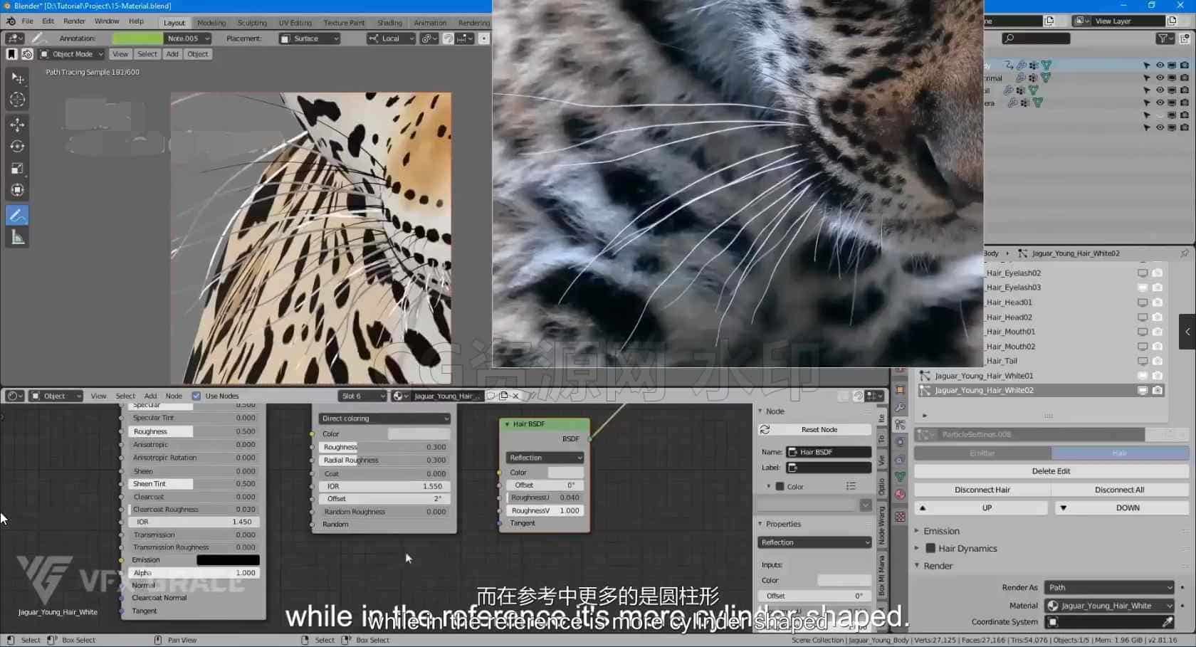图片[3]-Blender美洲虎豹毛发教程【专业国产翻译】-B站/公众号:特效向