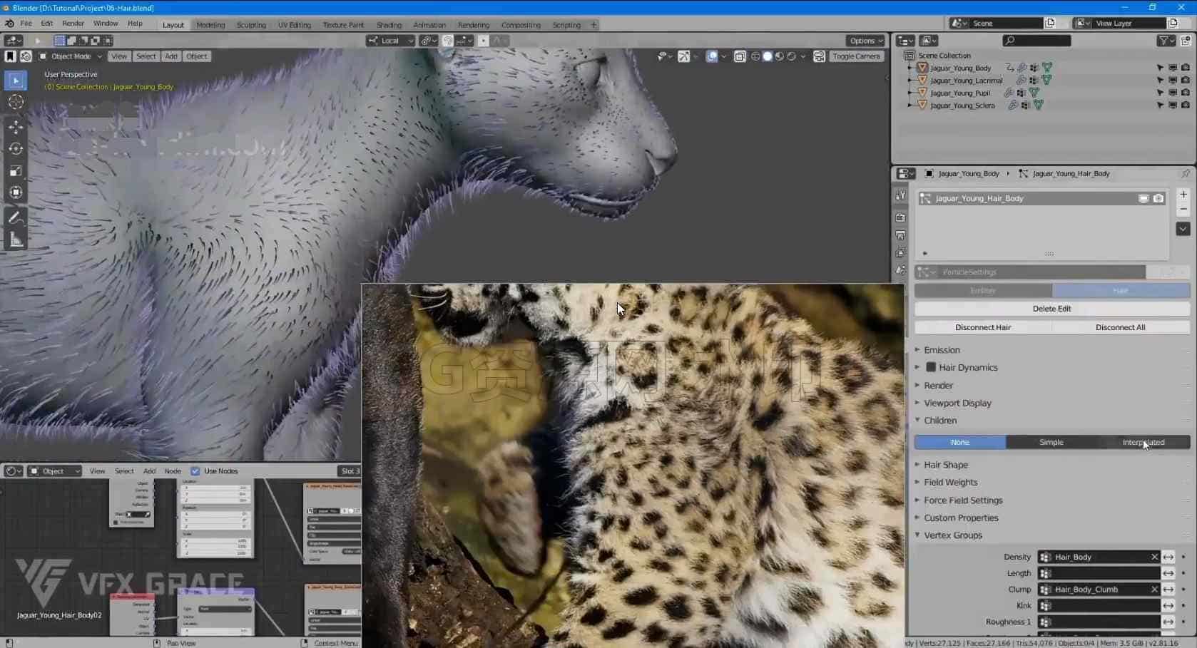 图片[2]-Blender美洲虎豹毛发教程【专业国产翻译】-B站/公众号:特效向