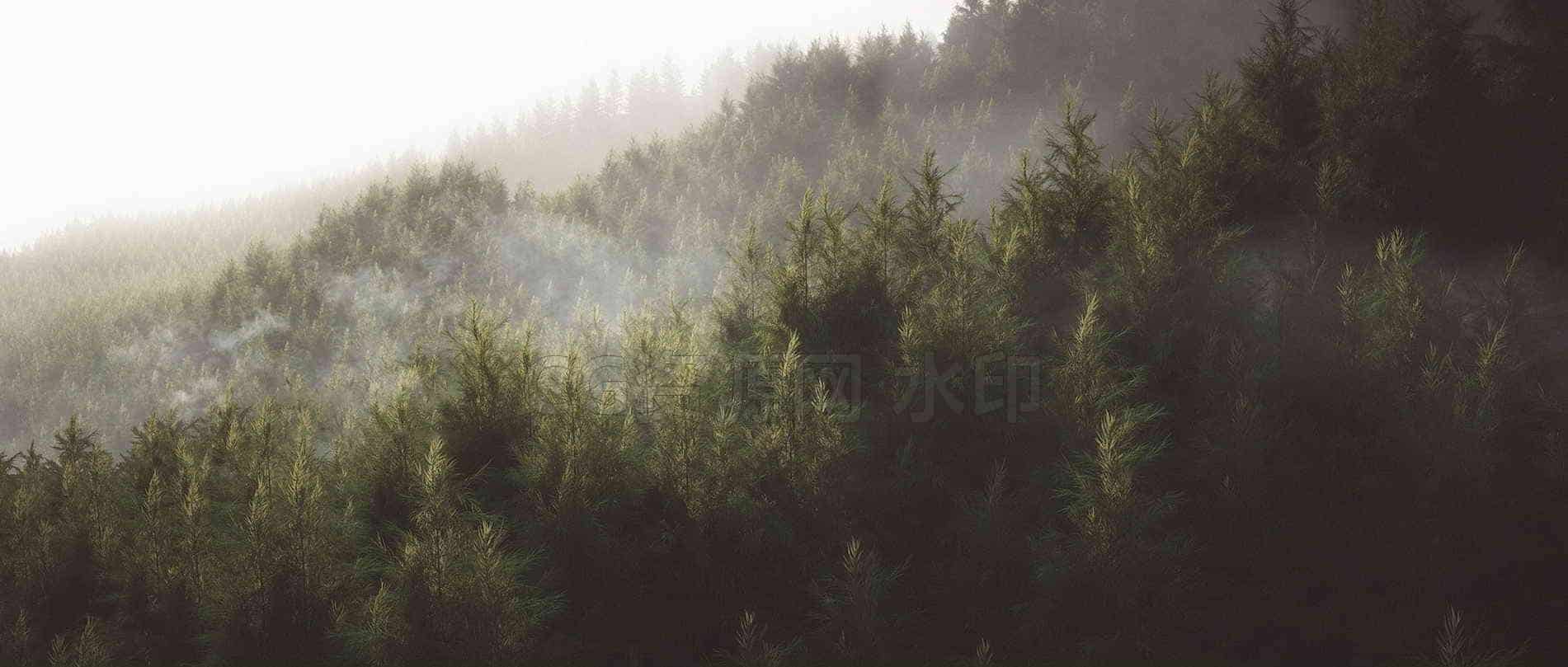 C4D模型B269-群山深林-B站/公众号:特效向