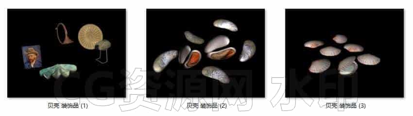 C4DA-102-贝壳-贝类-C4D模型A室内-家居-办公-B站/公众号:特效向