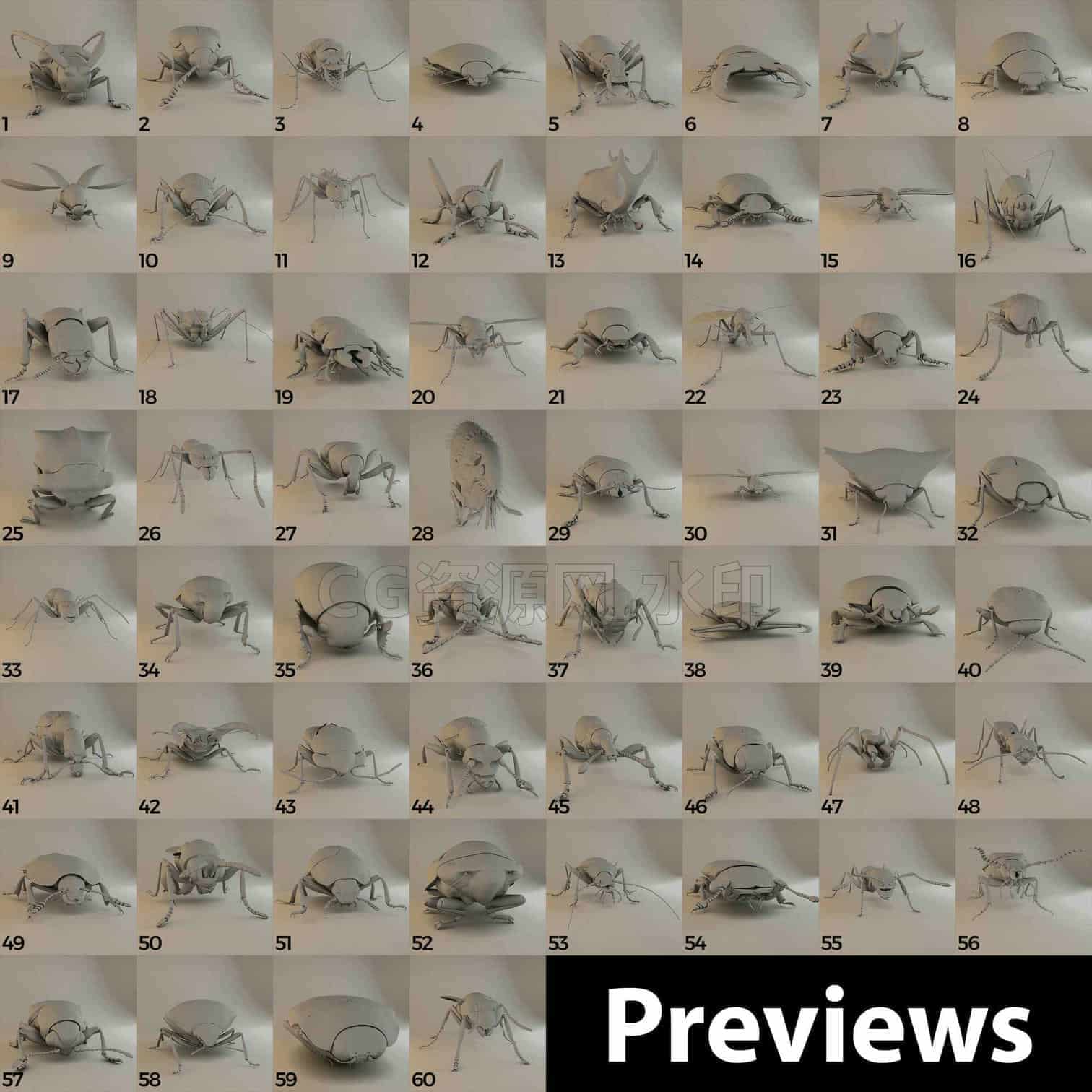 C4DD-026-60个昆虫-C4D模型A人物-动物-食物-B站/公众号:特效向