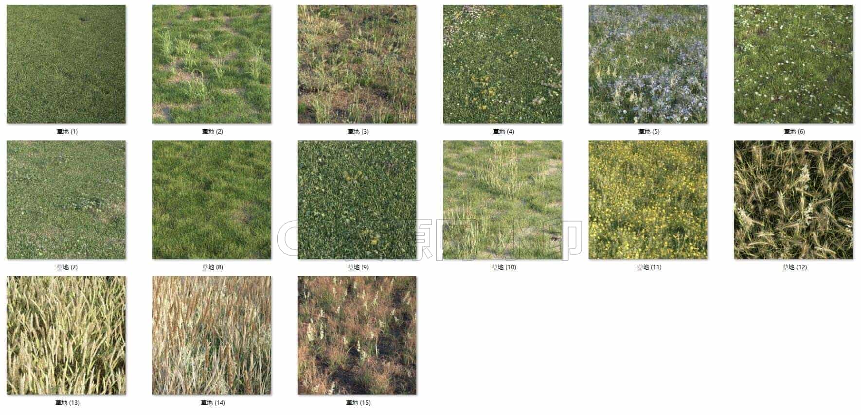 C4DG-002-15个-大面积草地-vray渲染-C4D模型A植物-花树-草地-B站/公众号:特效向