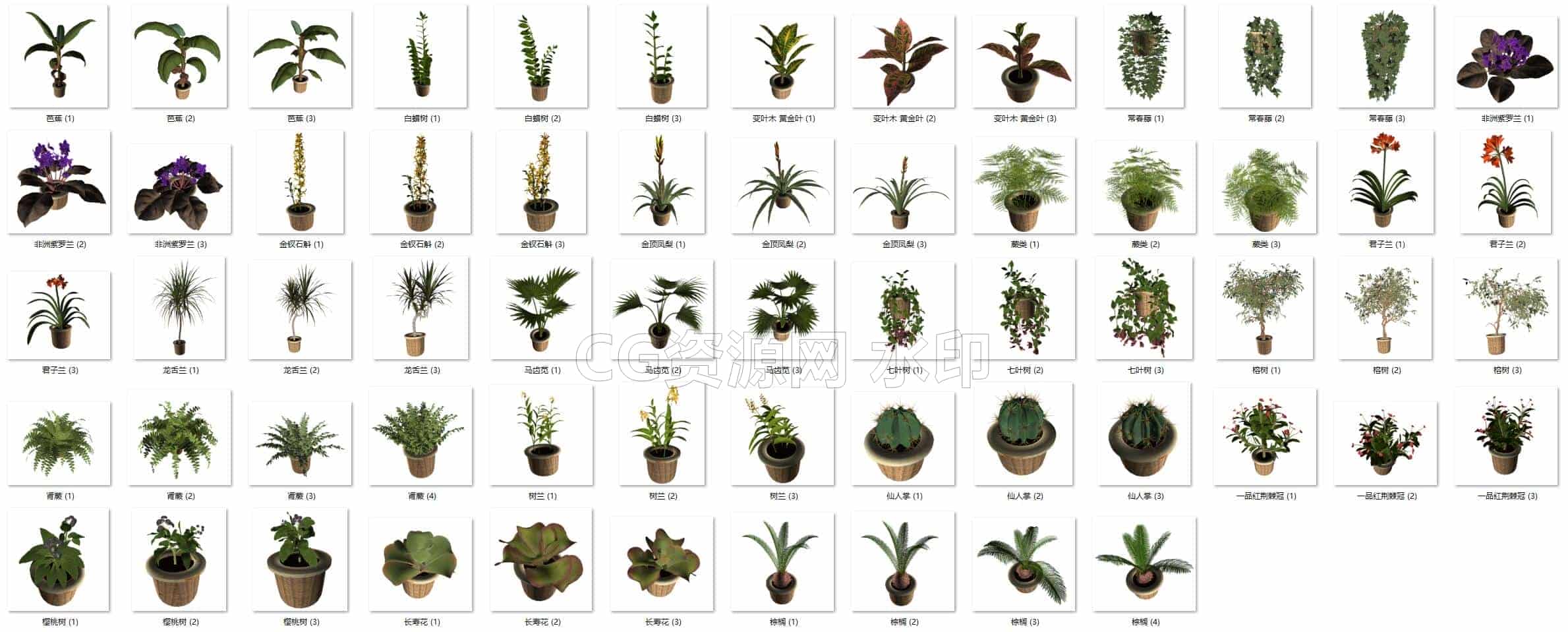 C4DG-004-20个-盆栽-C4D模型A植物-花树-草地-B站/公众号:特效向