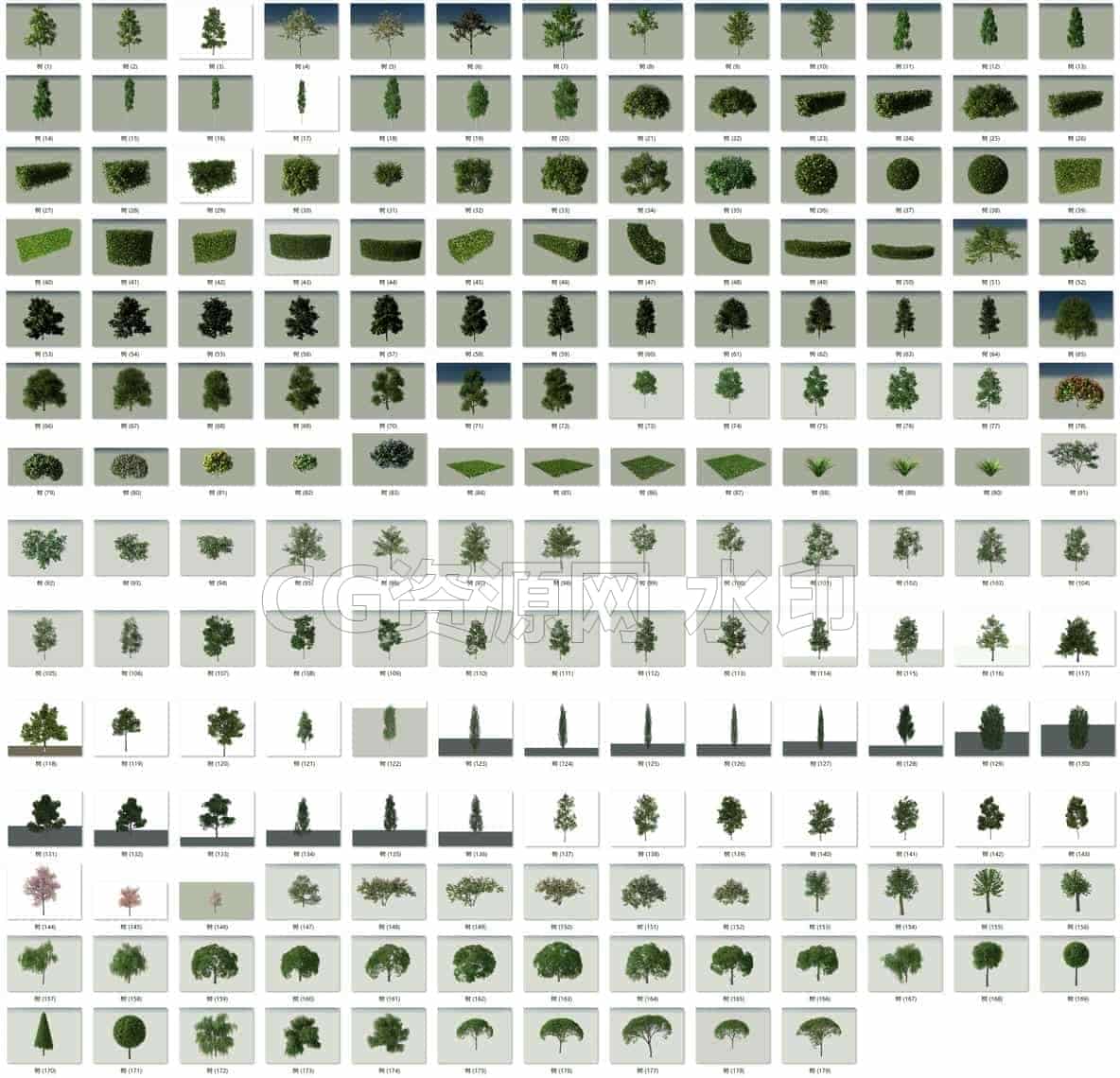 C4DG-011-179个植物-树-模型-vray渲染-C4D模型A植物-花树-草地-B站/公众号:特效向