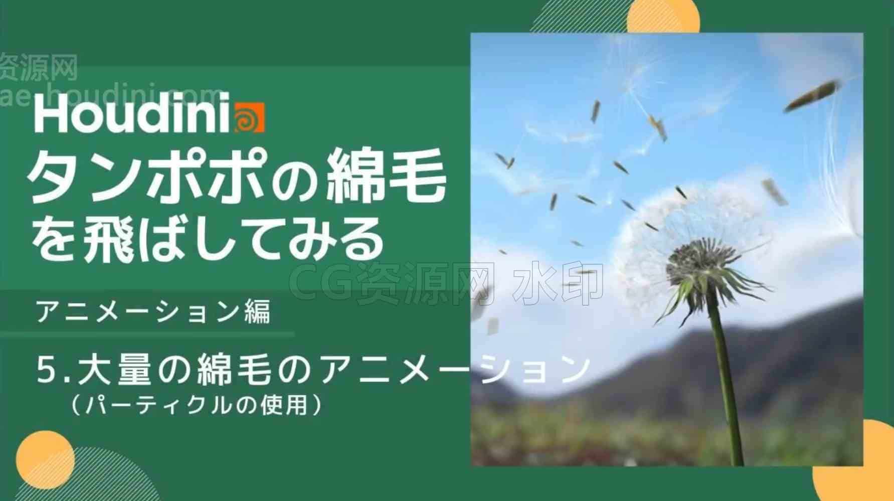 Houdini19.5制作蒲公英飞舞效果教程-B站/公众号:特效向
