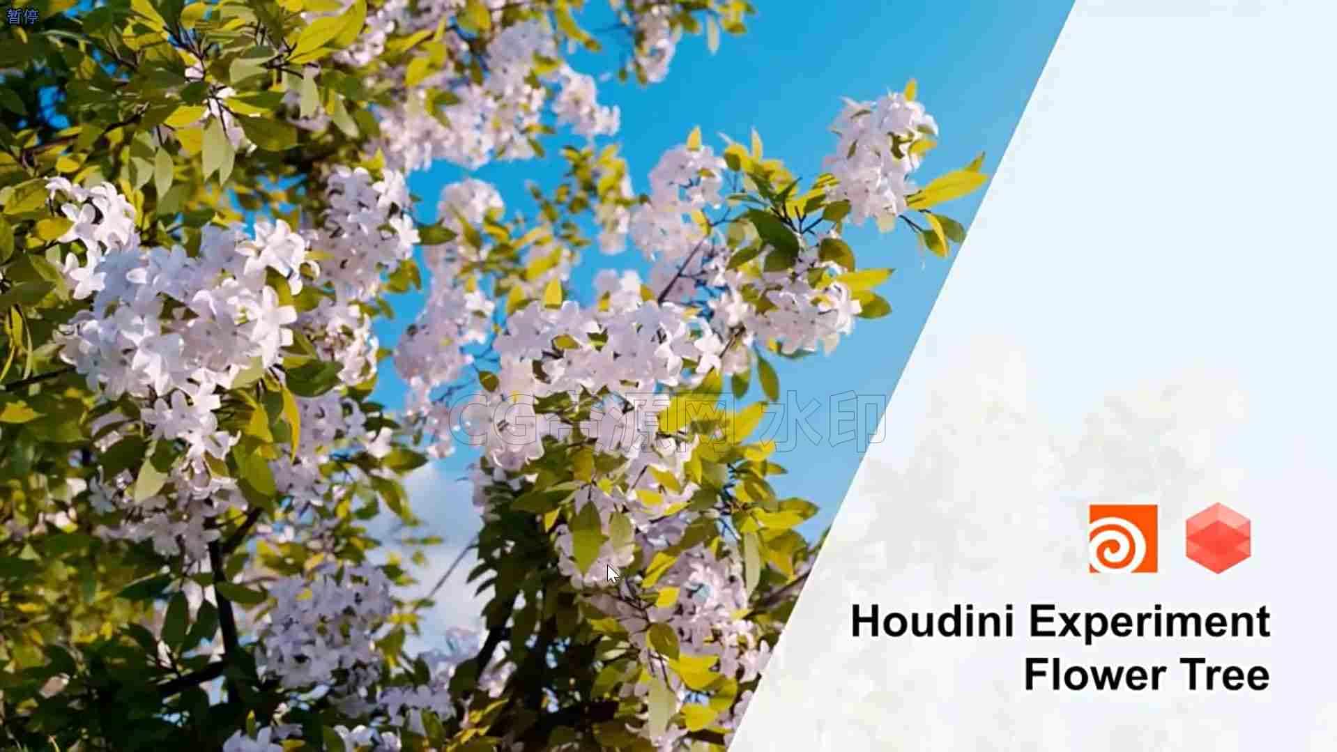 Houdini19.5唯美花树摆动制作hip文件-B站/公众号:特效向