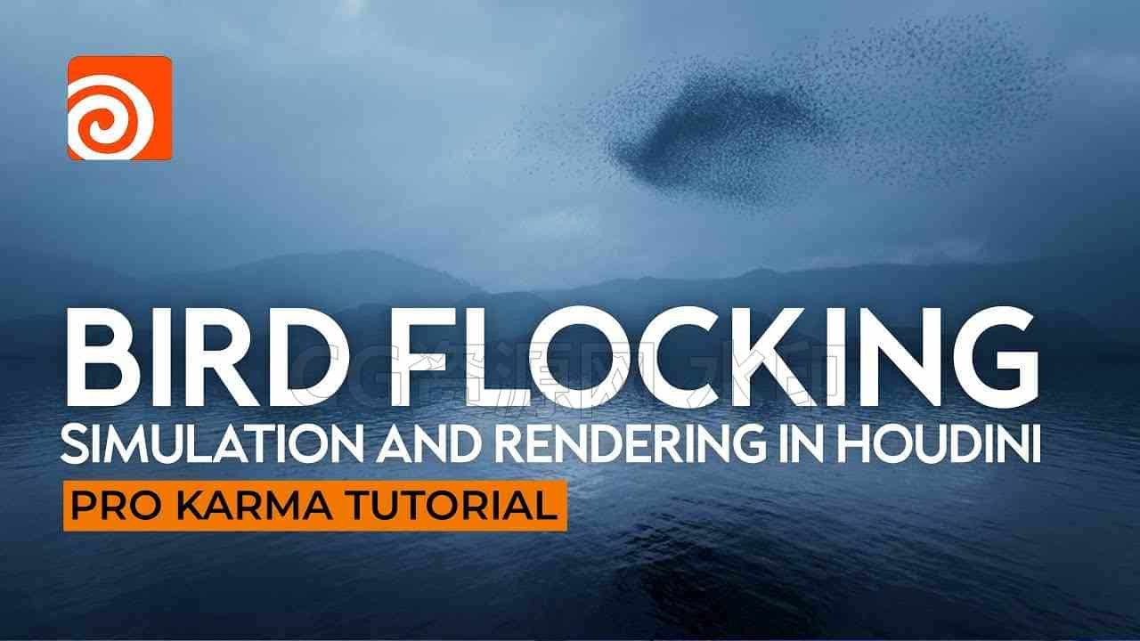 Houdini中的鸟类群集模拟和Karma渲染Pro【项目】保密-B站/公众号:特效向