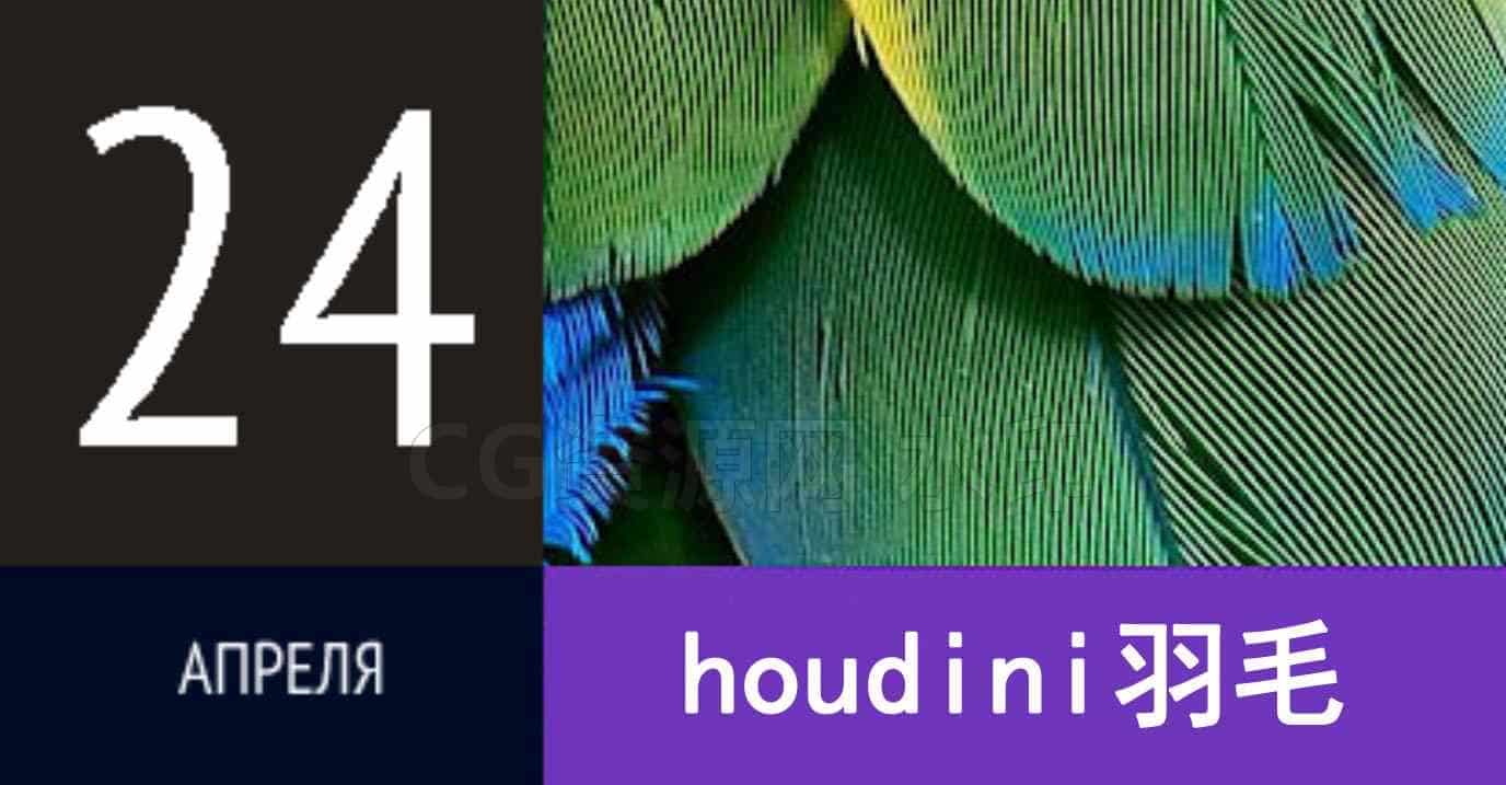 Houdini羽毛特效原理Feathers【专业国产翻译】online俄罗斯-B站/公众号:特效向