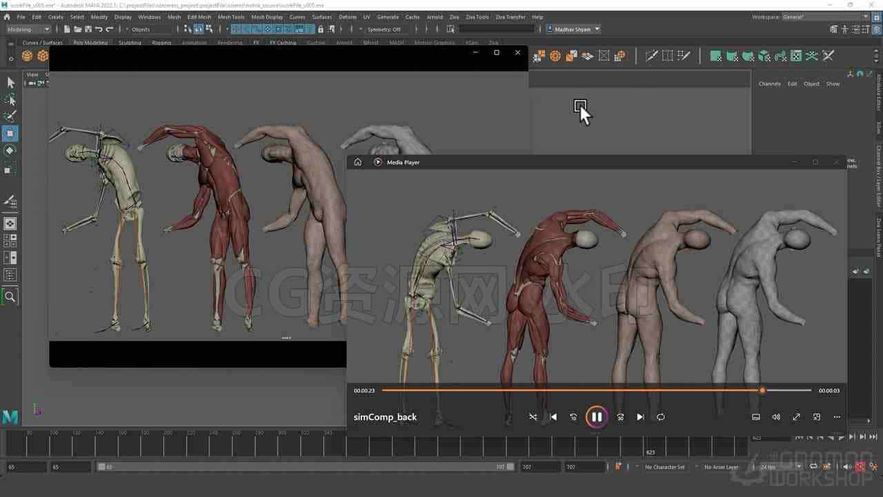 图片[3]-Maya Ziva插件肌肉绑定动画教程 Introduction to Ziva VFX Volume 1-B站/公众号:特效向