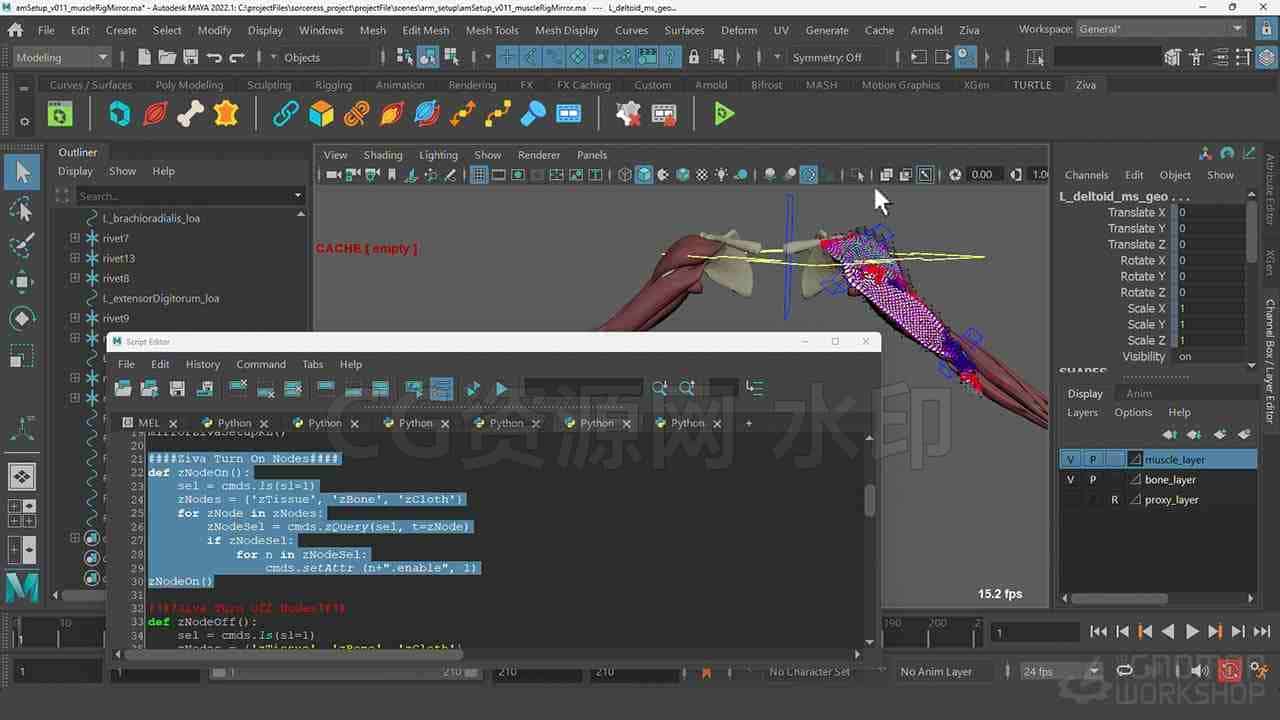 图片[4]-Maya Ziva插件肌肉绑定动画教程 Introduction to Ziva VFX Volume 1-B站/公众号:特效向