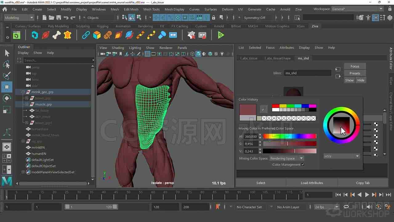 图片[2]-Maya Ziva插件肌肉绑定动画教程 Introduction to Ziva VFX Volume 1-B站/公众号:特效向