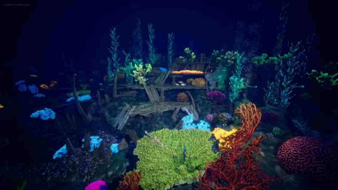 UE5 海洋珊瑚礁环境包-Ocean Environment Pack 2-Coral Reef虚幻搜索-B站/公众号:特效向
