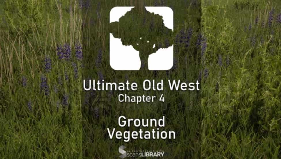 图片[3]-UE5西部自然环境植物树木场景制作教程-B站/公众号:特效向