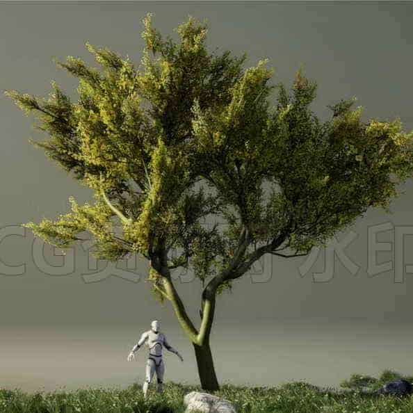 图片[6]-UE5 高质量植被树木生产-B站/公众号:特效向