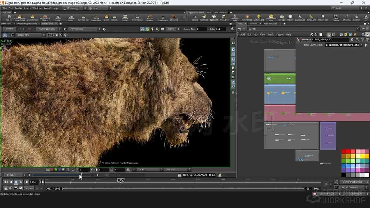 图片[2]-Houdini20.5笔下的奇幻生物毛发hair造型教程fantasy creature grooming in houdini-B站/公众号:特效向
