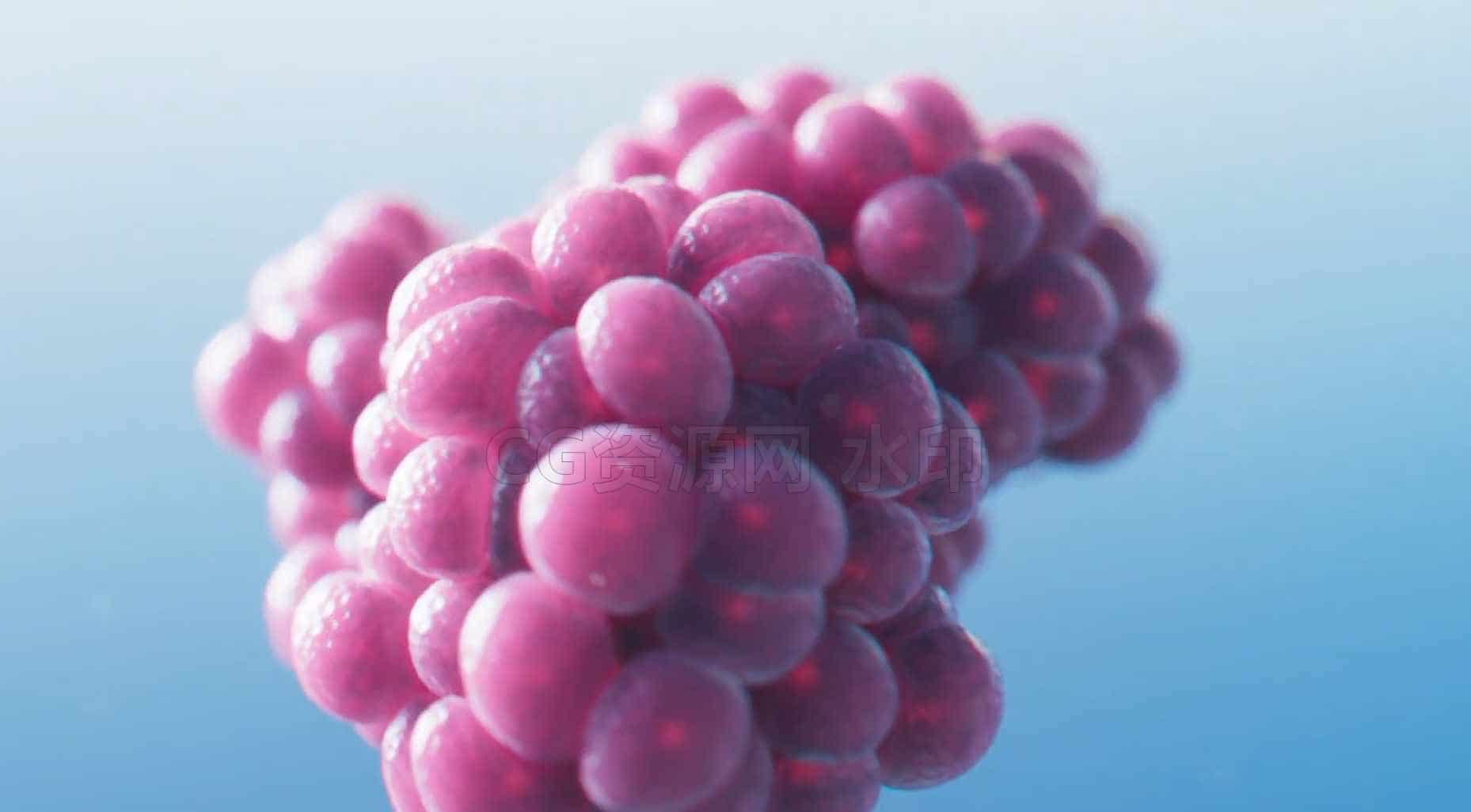 图片[4]-HS232课程建立你的大脑-houdini的细胞分裂Cell Division in Houdini学校-B站/公众号:特效向