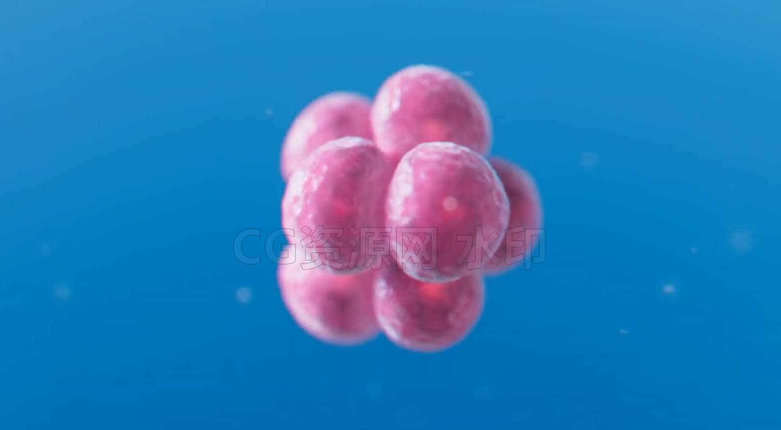 图片[3]-HS232课程建立你的大脑-houdini的细胞分裂Cell Division in Houdini学校-B站/公众号:特效向