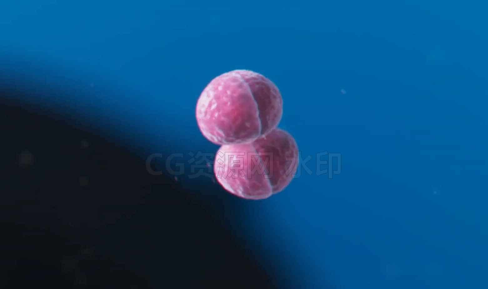图片[2]-HS232课程建立你的大脑-houdini的细胞分裂Cell Division in Houdini学校-B站/公众号:特效向