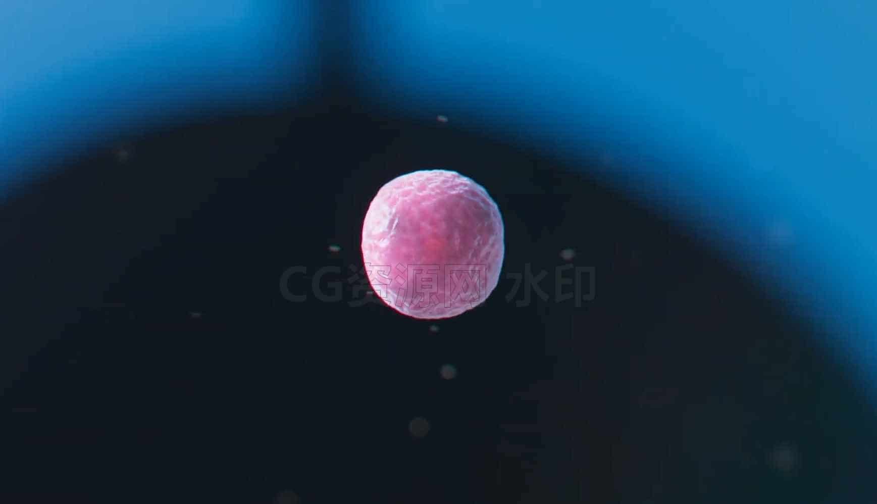 HS232课程建立你的大脑-houdini的细胞分裂Cell Division in Houdini学校-B站/公众号:特效向