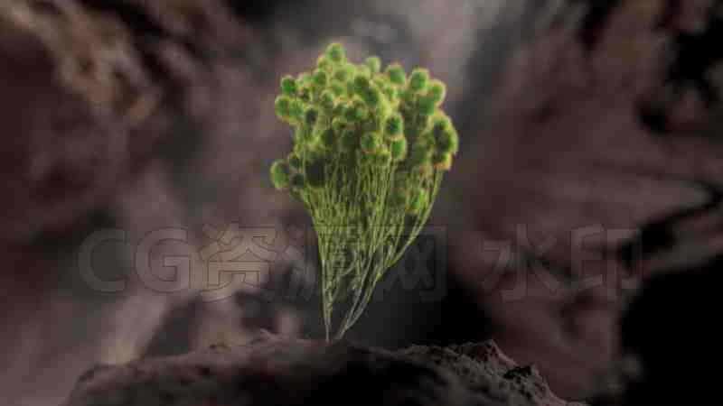 图片[2]-Houdini海底环境外星生命起源形式 Alien Life Forms学校216-B站/公众号:特效向