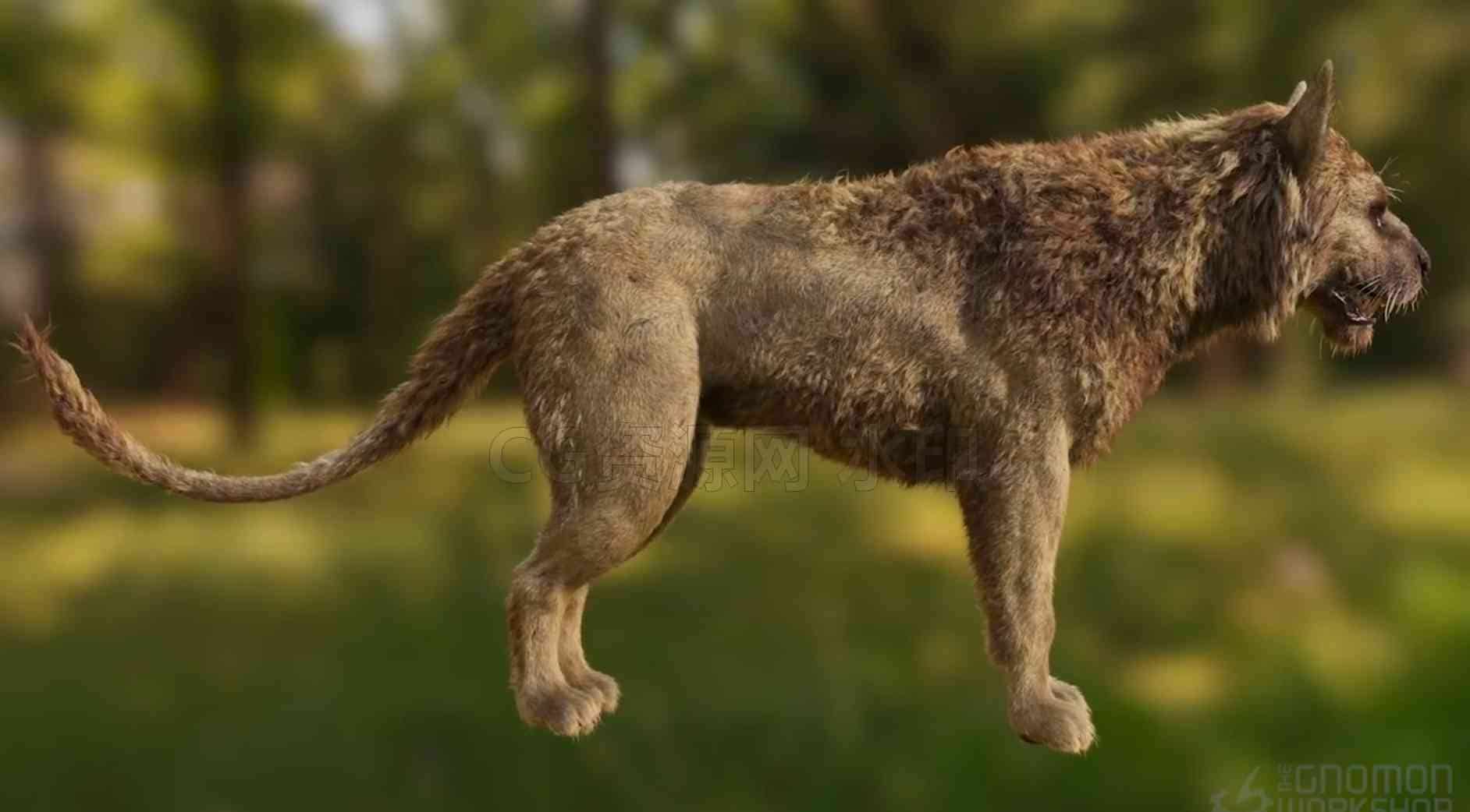 图片[4]-Houdini20.5笔下的奇幻生物毛发hair造型教程fantasy creature grooming in houdini-B站/公众号:特效向