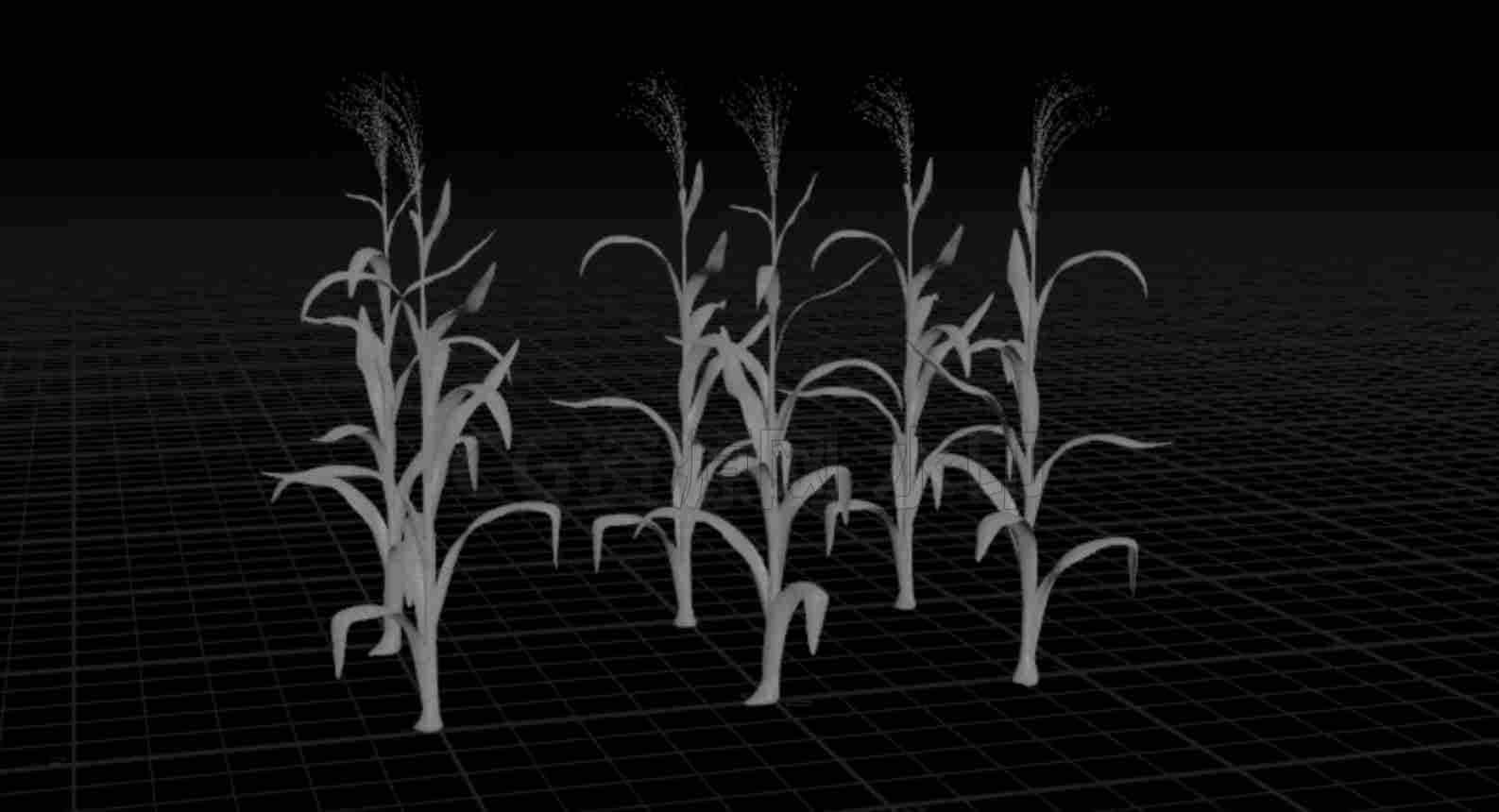 vellum植物杆碰撞hip工程corn vellum (free_hip)-B站/公众号:特效向