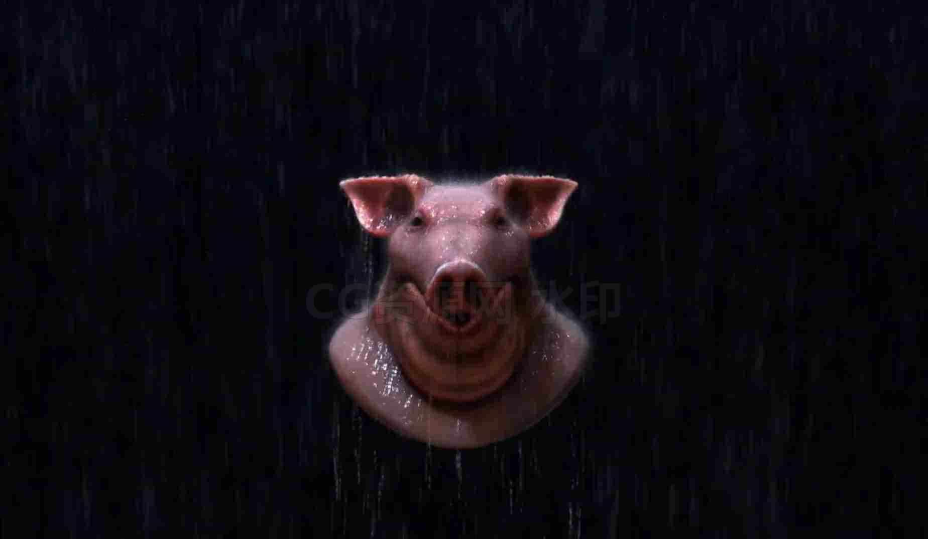 Houdini下雨水粒子特效带雾气hip工程文件-B站/公众号:特效向