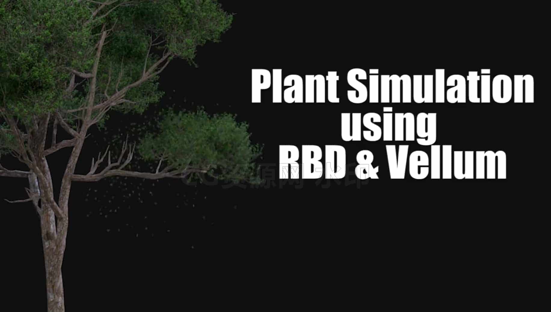 图片[2]-Houdini21石头跟植物碰撞交互的效果Plant Simulation in Houdini-B站/公众号:特效向