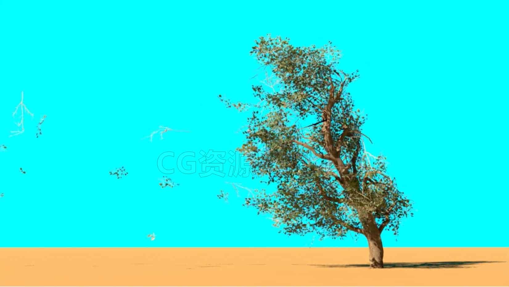 在Houdini Vellum中模拟speed动力学树-在V-Ray中渲染，包括文件-B站/公众号:特效向