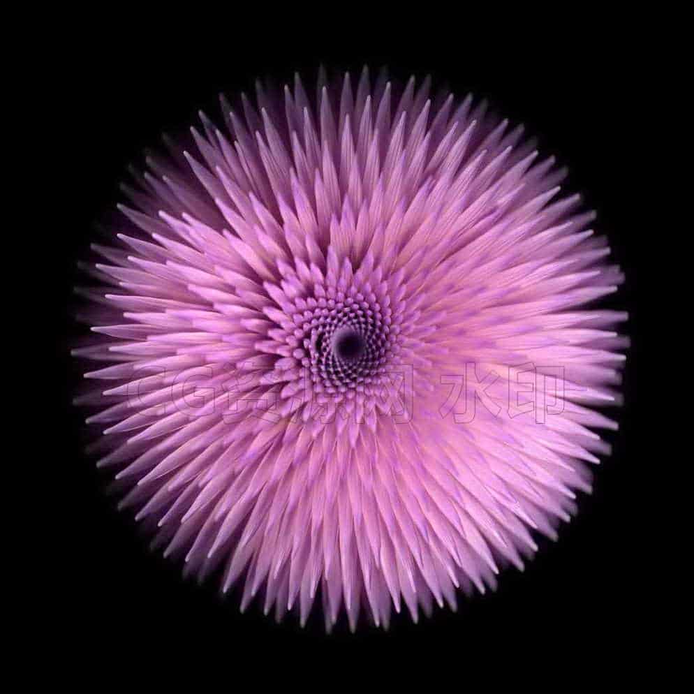 houdini植物开花b工程文件-B站/公众号:特效向