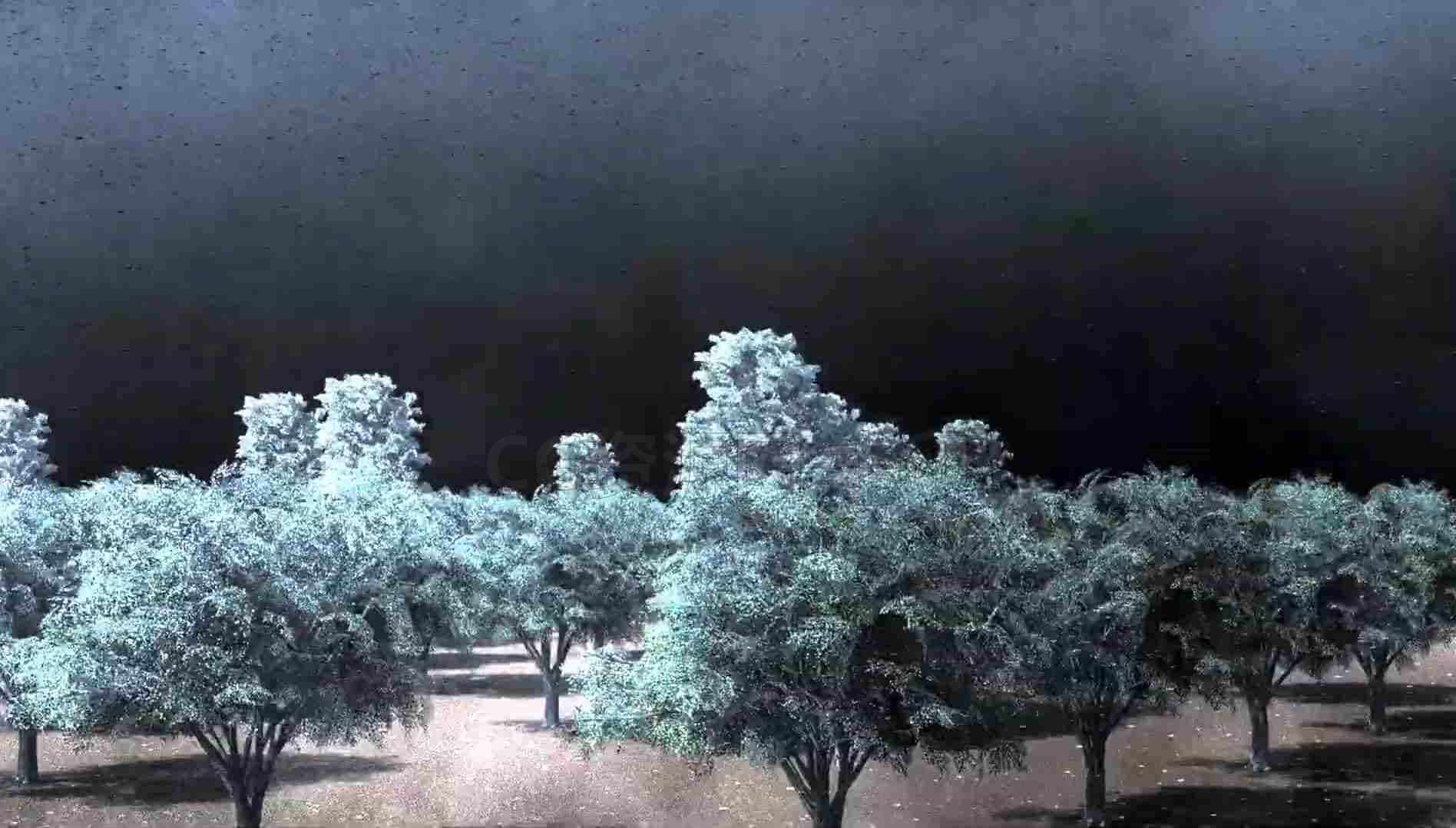 Houdini与Speedtree创建暴风雨天气场景工程-B站/公众号:特效向
