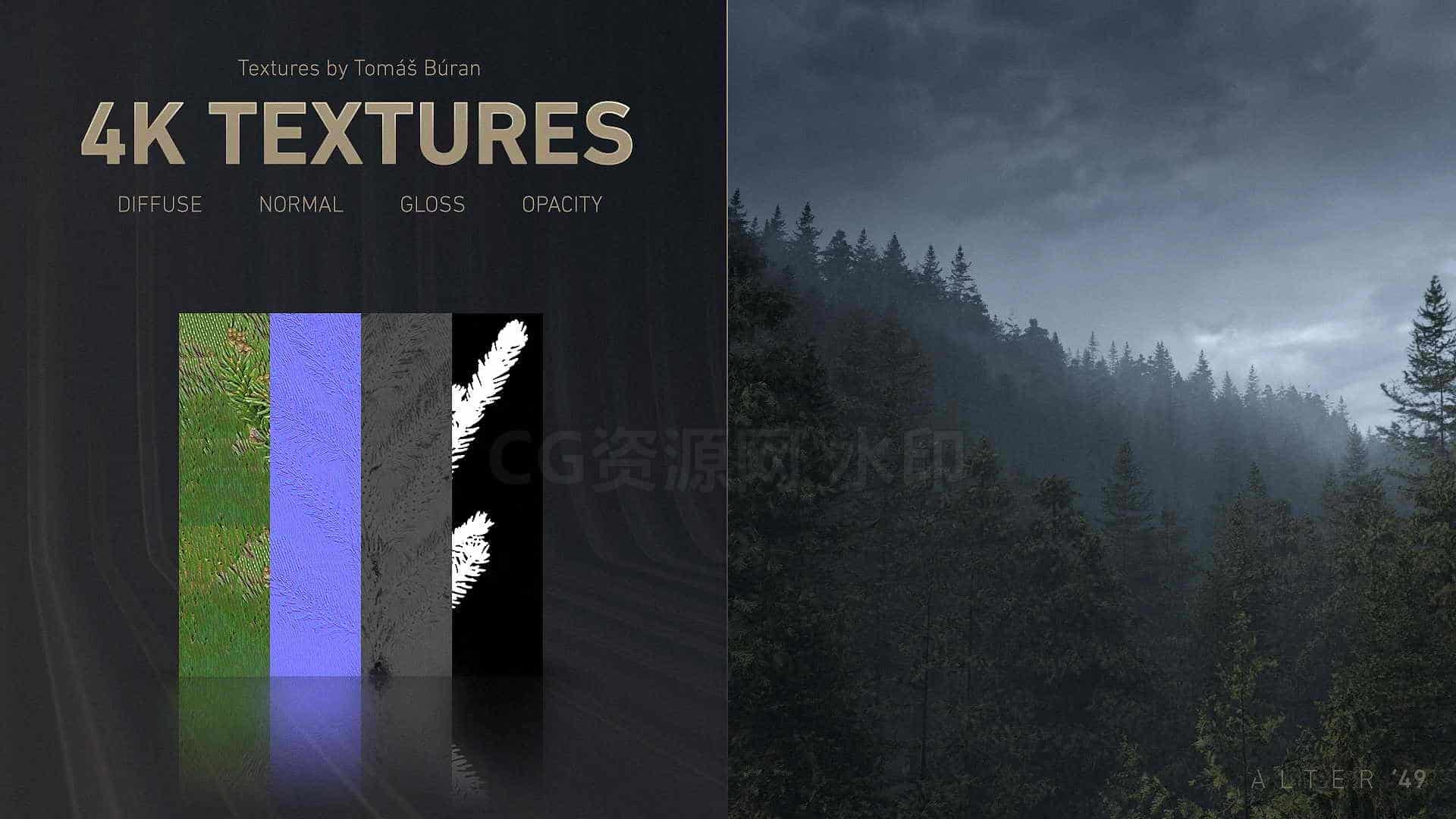 PRO Forest Bundle 森林树木模型资产包-B站/公众号:特效向