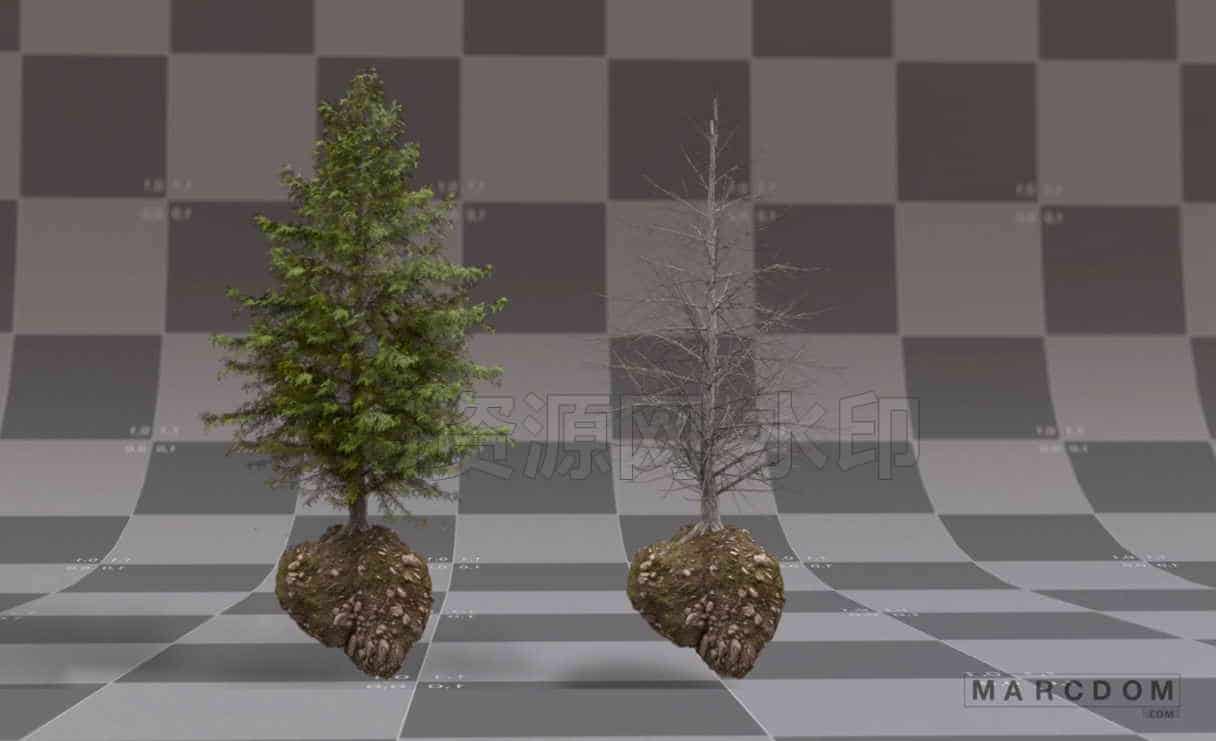 树木及环境动力学解算Quick Houdini: tree & environment simulations-B站/公众号:特效向