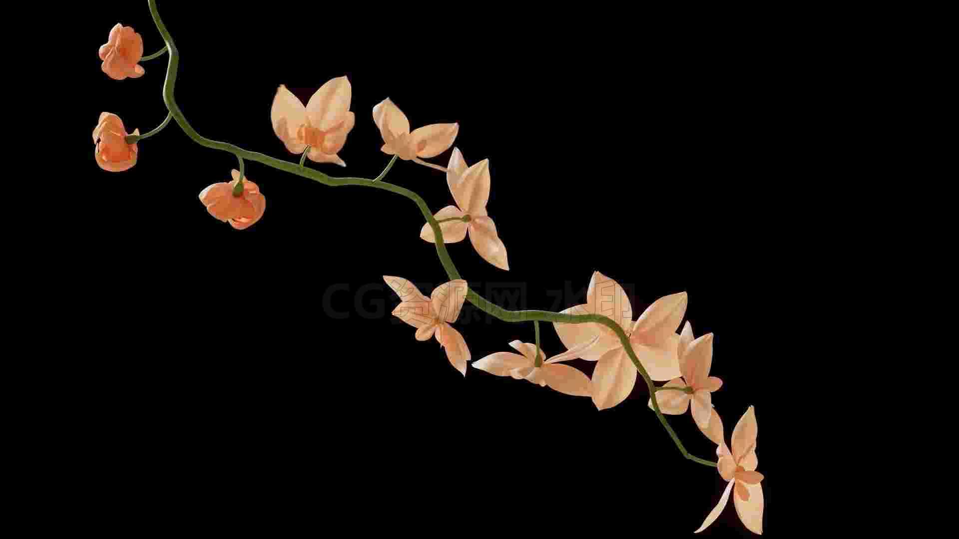 houdini植物开花C hip工程文件-B站/公众号:特效向