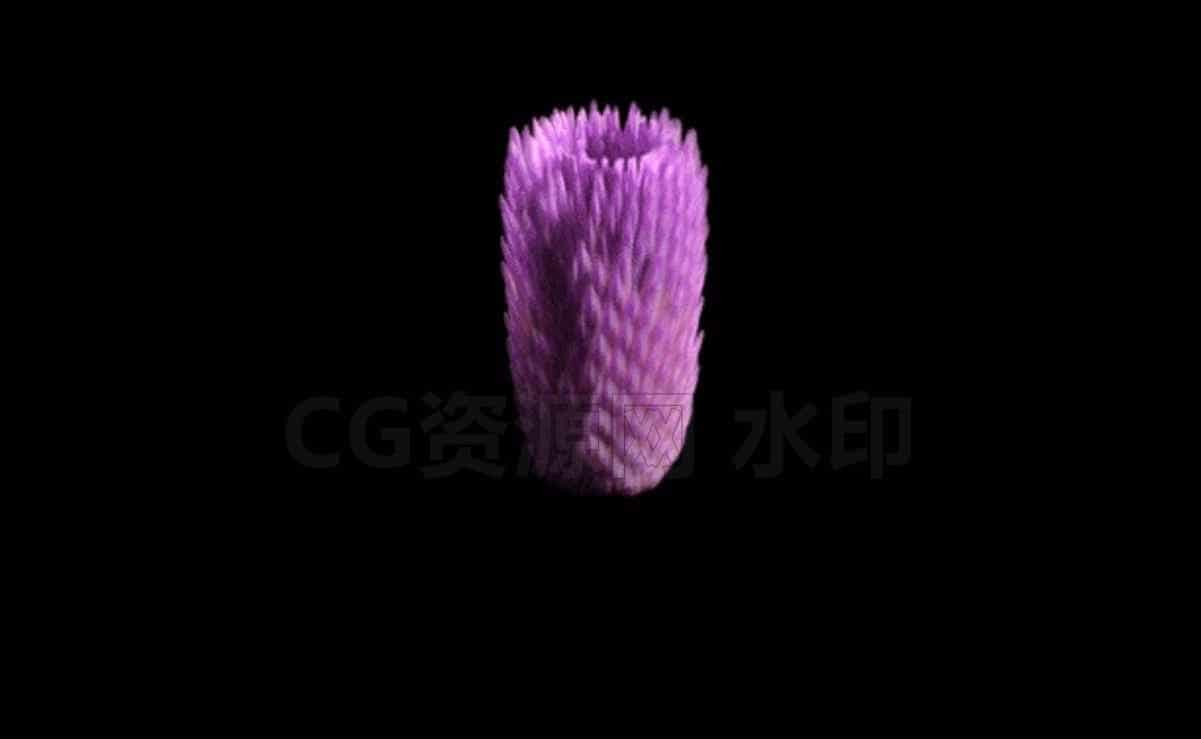 植物开花hip工程i-B站/公众号:特效向