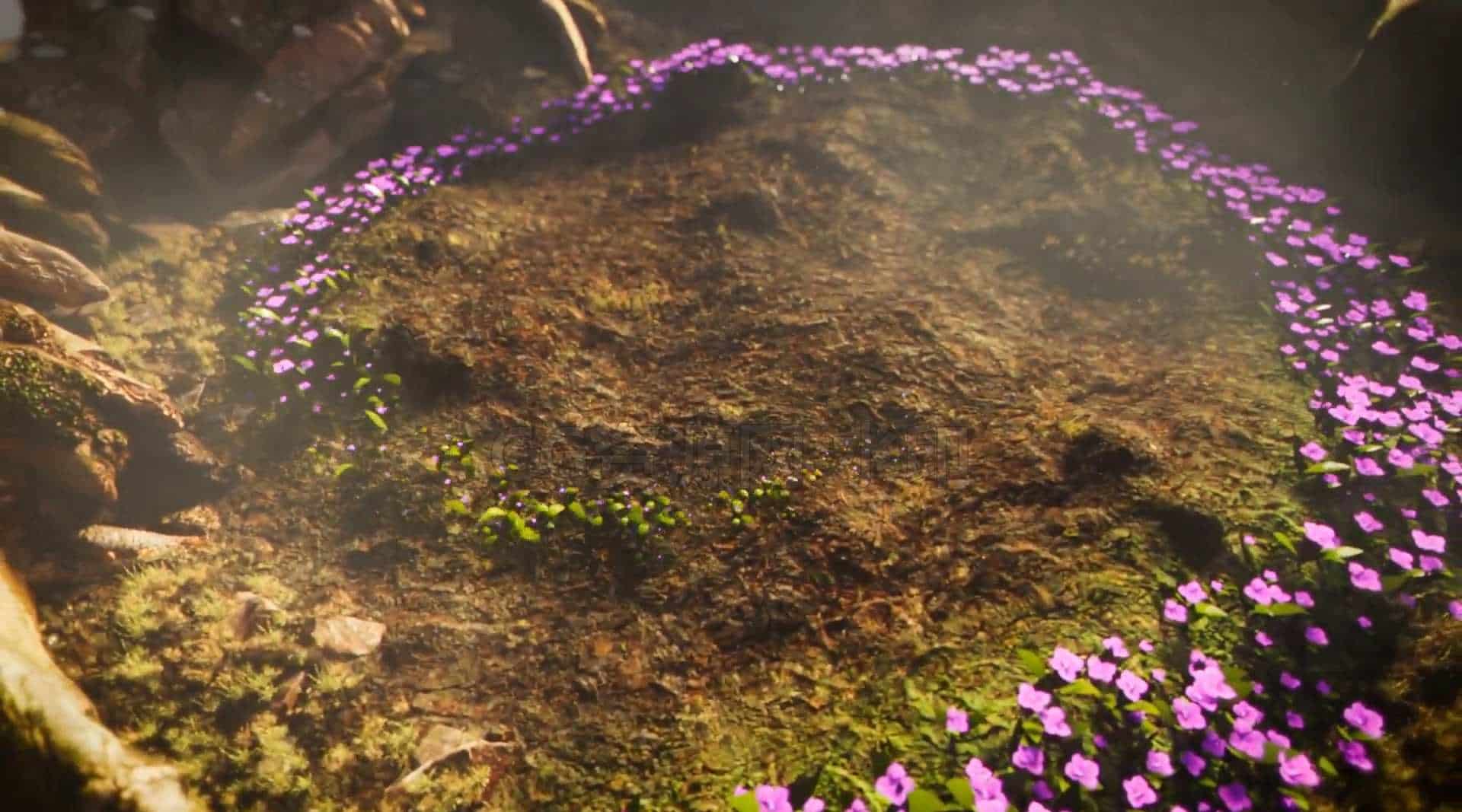 植物开花生长hip工程H-B站/公众号:特效向