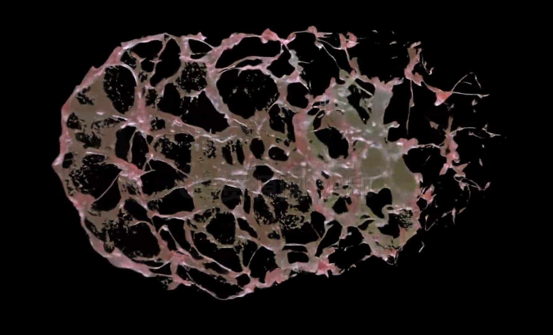 高细节水花碰撞解算 Houdini21工程文件hip臀部-B站/公众号:特效向