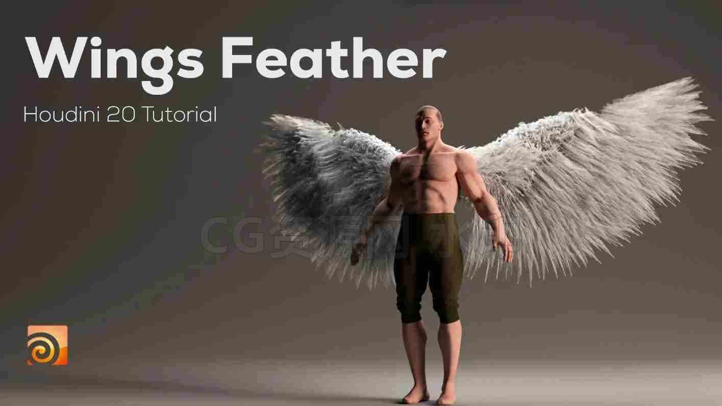 Houdini人体翅膀羽毛工程Feather Tutorial for Beginners-B站/公众号:特效向