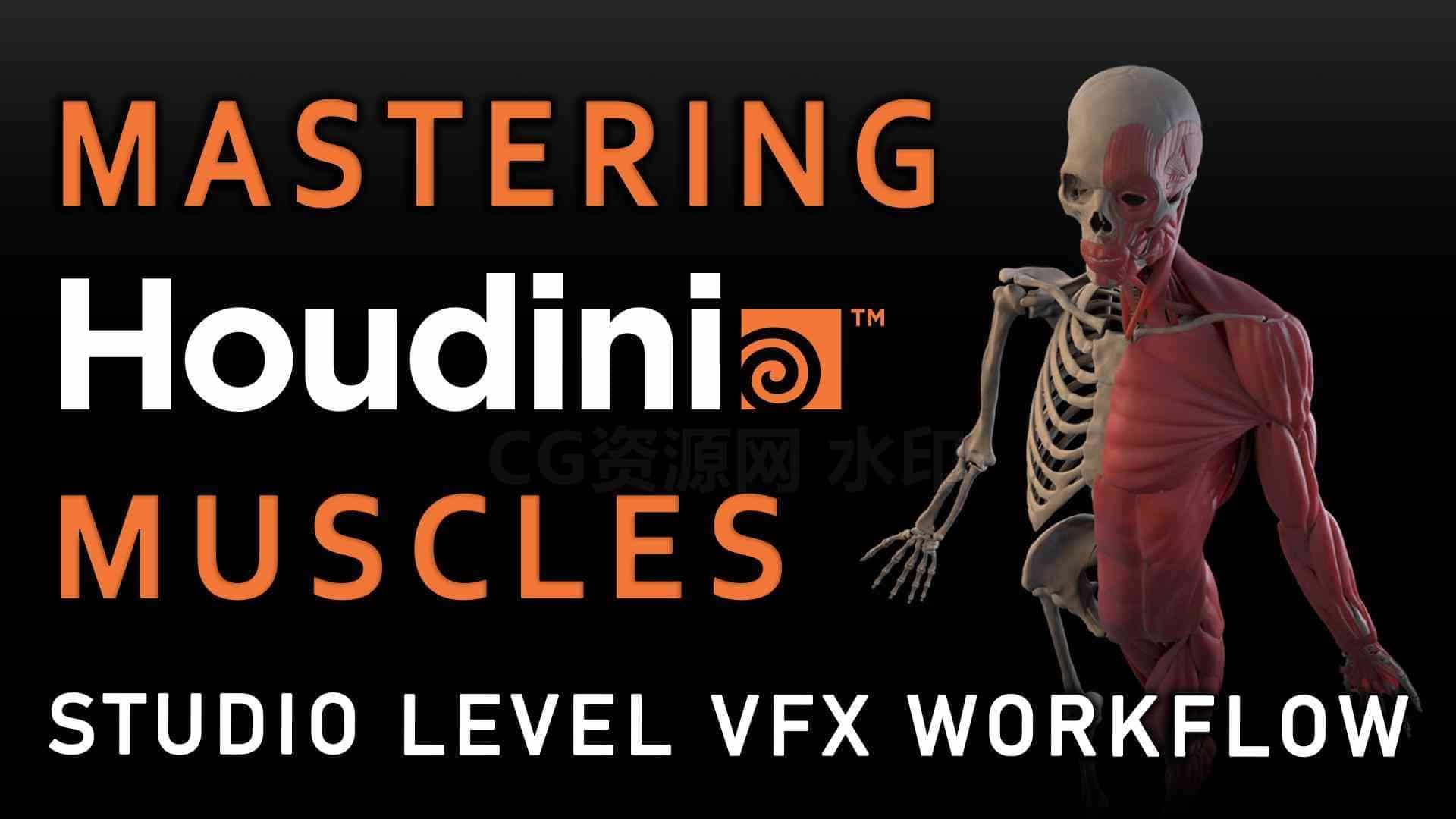 【26号下午更毕 请重新保存网盘】掌握Houdini20.5肌肉系统Muscles特效工作流  特效向专业翻译-B站/公众号:特效向