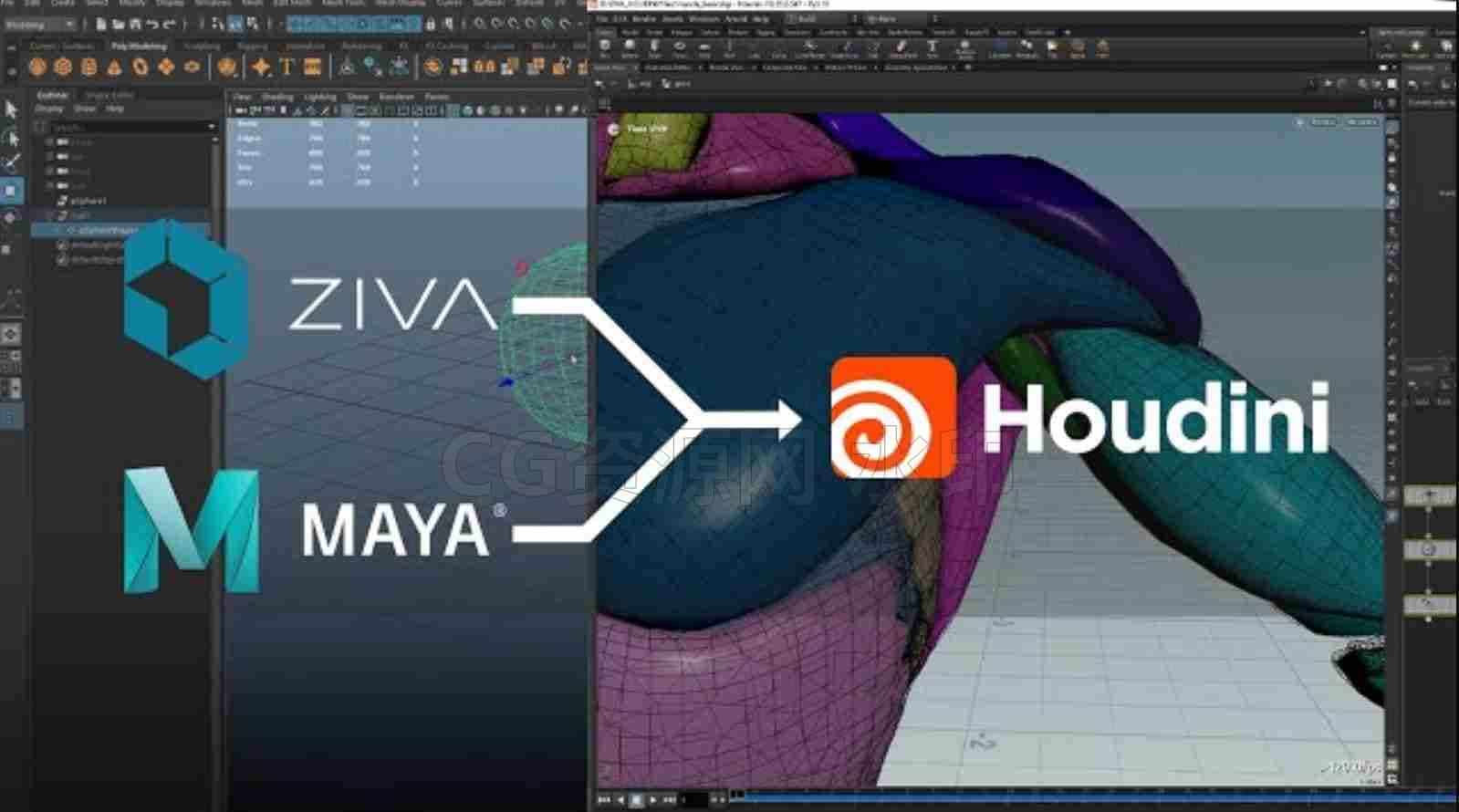 Houdini 肌肉模拟结合Maya和Ziva-B站/公众号:特效向