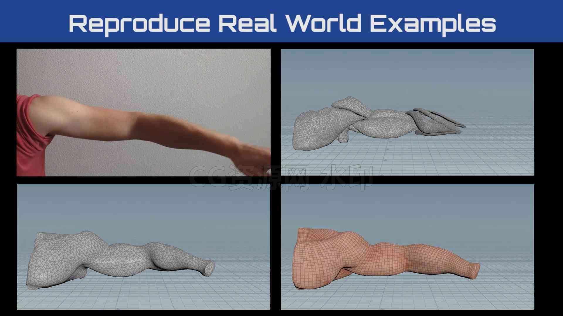 图片[2]-【26号下午更毕 请重新保存网盘】掌握Houdini20.5肌肉系统Muscles特效工作流  特效向专业翻译-B站/公众号:特效向