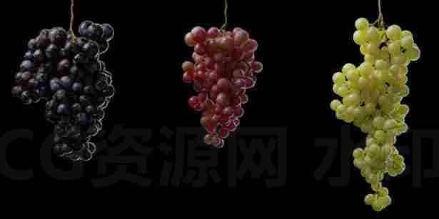 Houdini18.5程序化写实葡萄生成器HDA资产附带Vellum碰撞模拟-B站/公众号:特效向